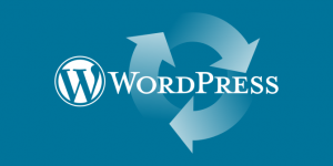 කිසිම Plugin එකක් භාවිතා කිරීමකින් තොරව WordPress වෙබ්/බ්ලොග් අඩවියක Backup එකක් Cpanel එකෙන් පහසුවෙන් ලබා ගන්නා ආකාරය